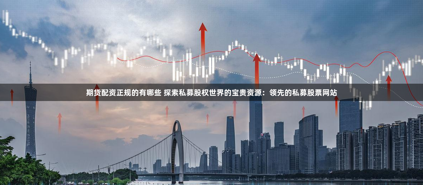 期货配资正规的有哪些 探索私募股权世界的宝贵资源：领先的私募股票网站